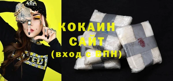 индика Каменка