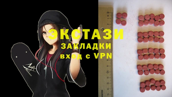 индика Каменка