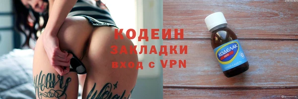 индика Каменка