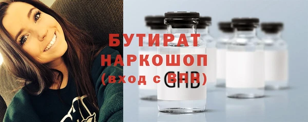 индика Каменка
