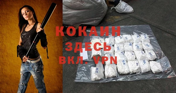 индика Каменка