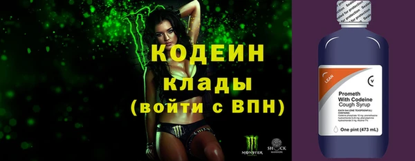 индика Каменка
