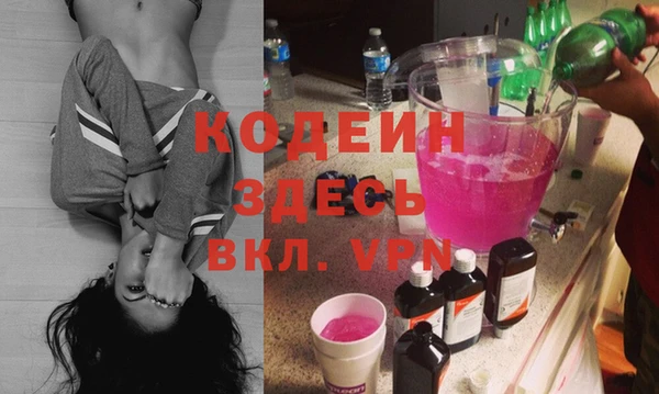 индика Каменка