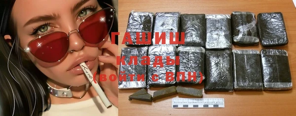 индика Каменка