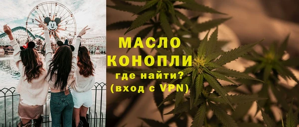 индика Каменка