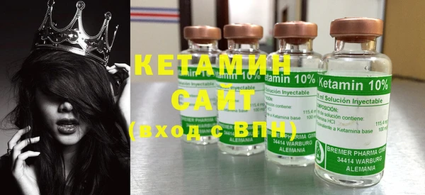индика Каменка