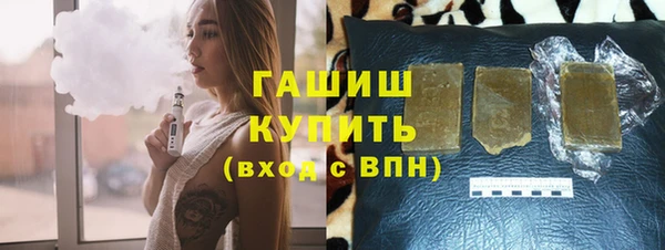 индика Каменка