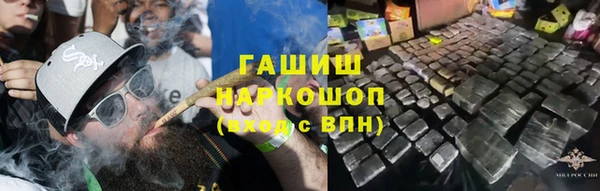 индика Каменка