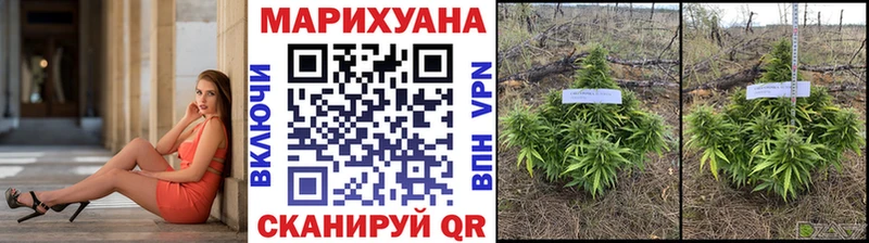 Купить где  Югорск  Бошки марихуана Amnesia 
